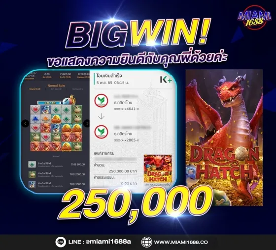 miami 1688 member789 โปรโมชั่น